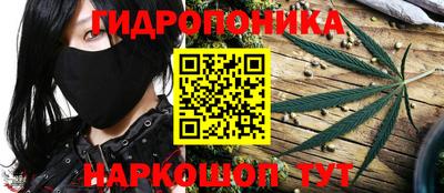 2c-b Кимры
